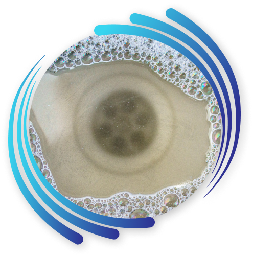 Drain Cleaning Experts in Minneapolis-St. Paul